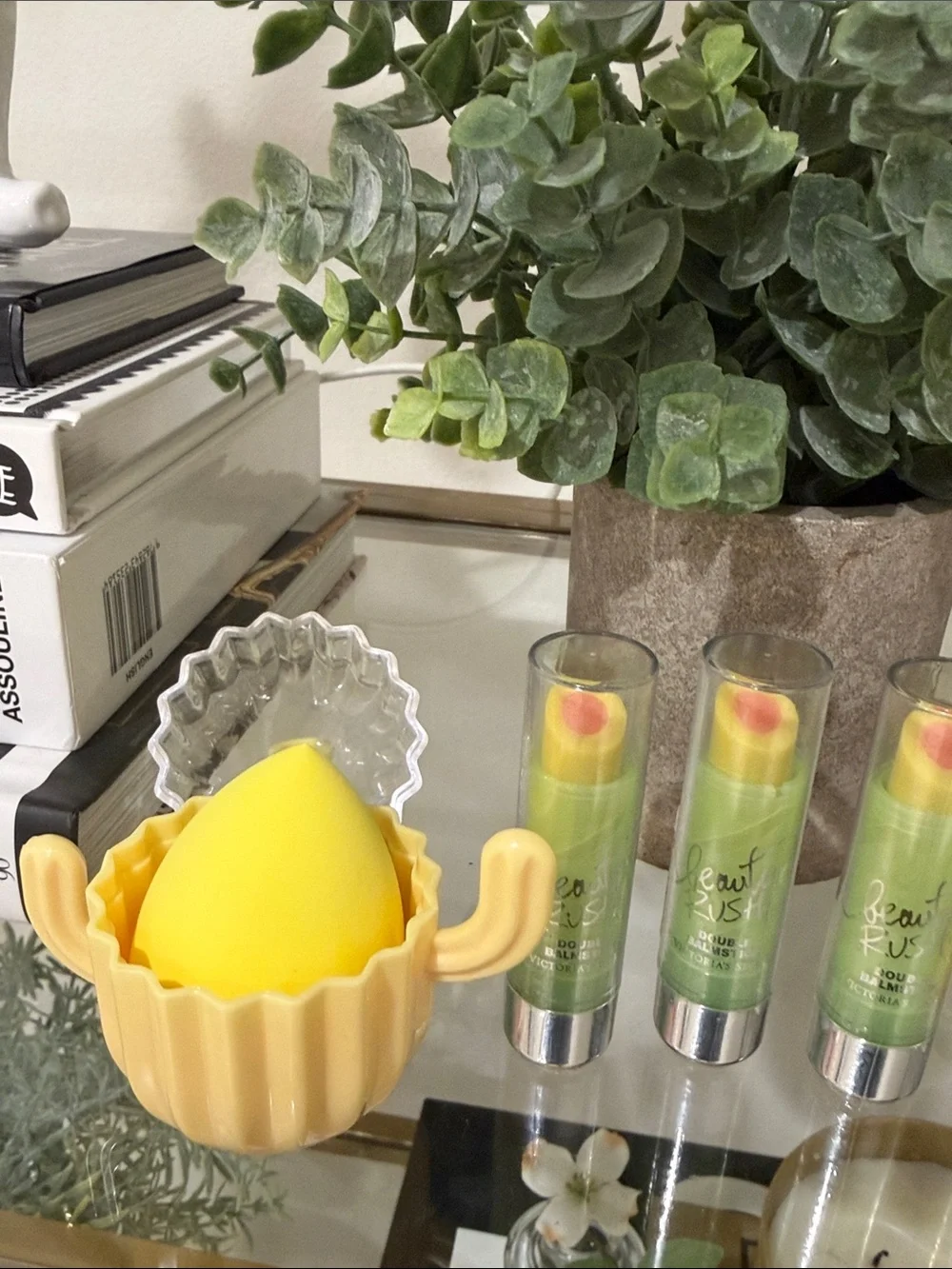 Cactus Make Up Sponge and Lip Balm Set